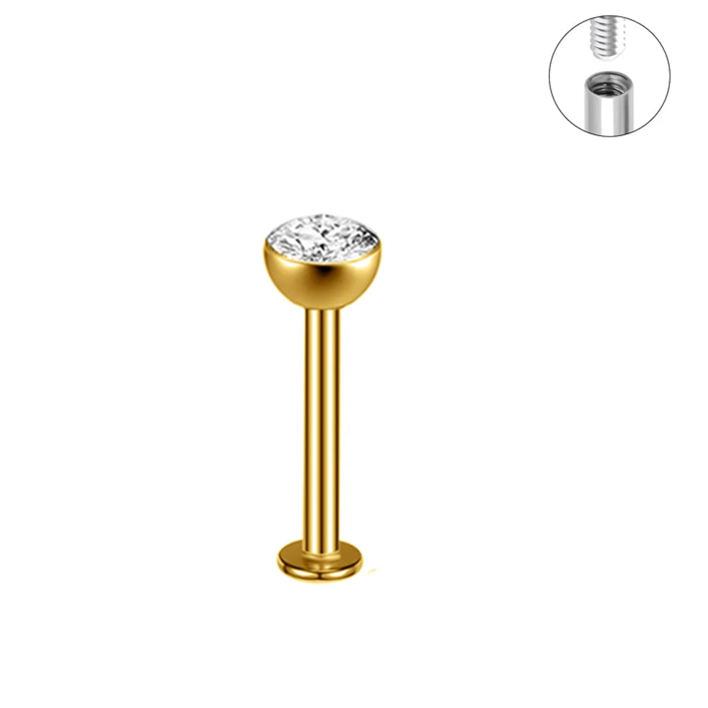 TitanSteel Cartilage & Lip Stud Kit